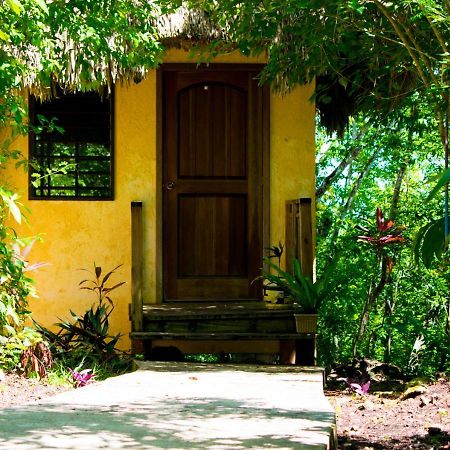 Amber Sunset Jungle Resort San Ignacio Buitenkant foto