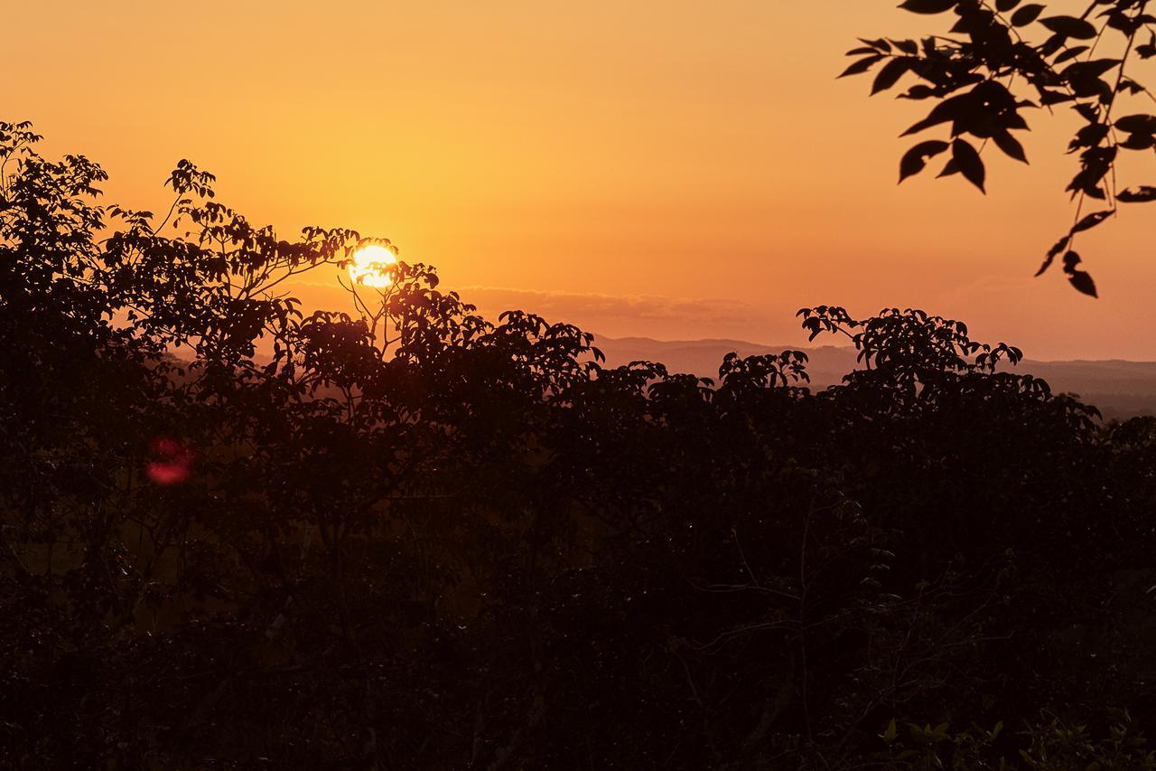 Amber Sunset Jungle Resort San Ignacio Buitenkant foto