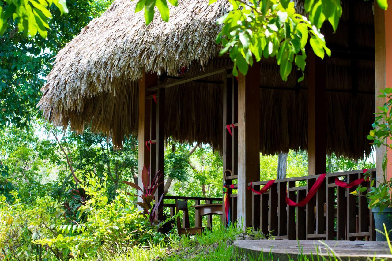 Amber Sunset Jungle Resort San Ignacio Buitenkant foto
