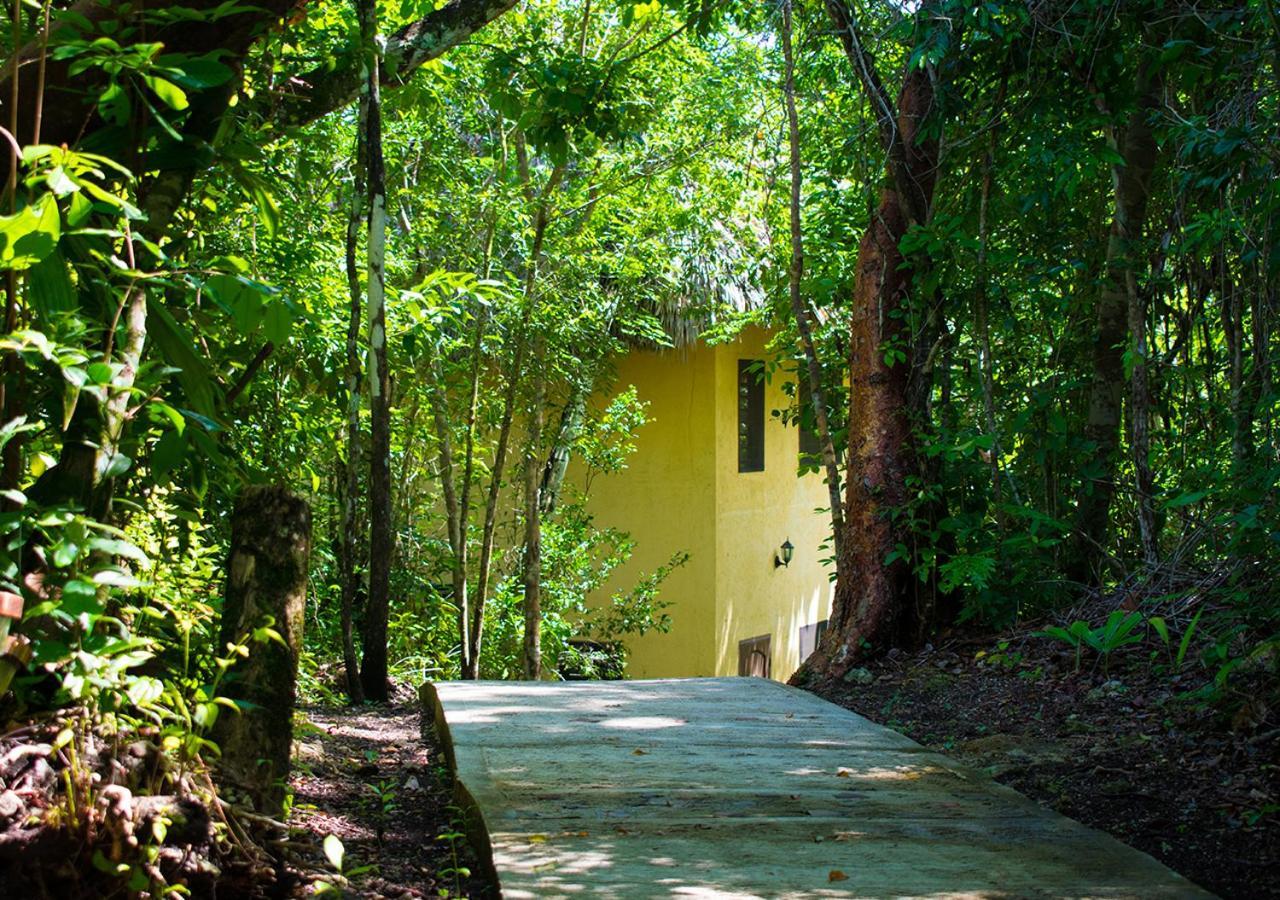 Amber Sunset Jungle Resort San Ignacio Buitenkant foto